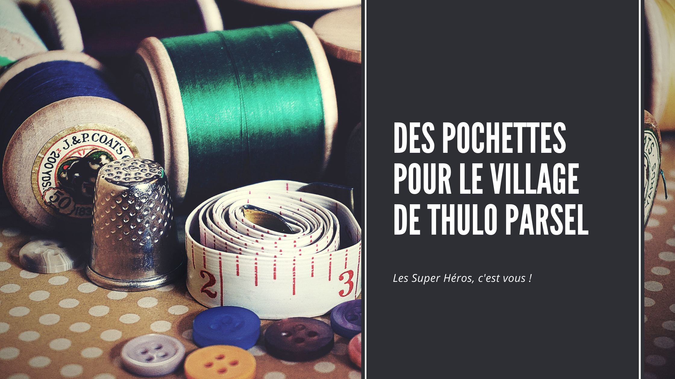 You are currently viewing DES POCHETTES POUR THULO PARSEL